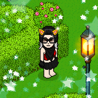 Photo by -:!Selene:!-