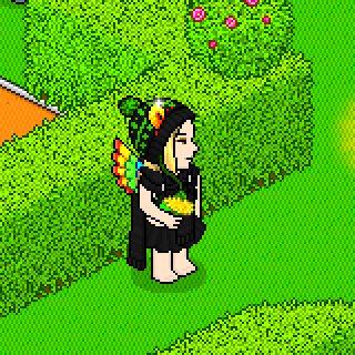 Photo by -:!Selene:!-
