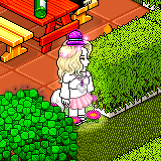 Photo by -:!Selene:!-