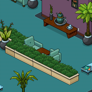 Photo by Plins