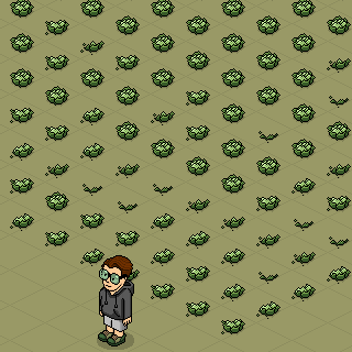 Photo by CaioSP,