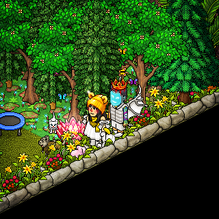 Photo by Habboali23