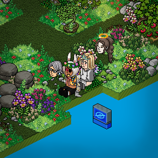 Photo by Habboali23