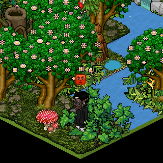 Photo by Dakotaz_