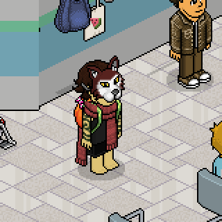 Photo by !Fiel