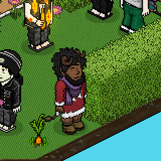Photo by !Fiel