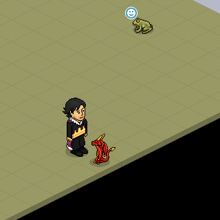 Photo by :d.gato.b: