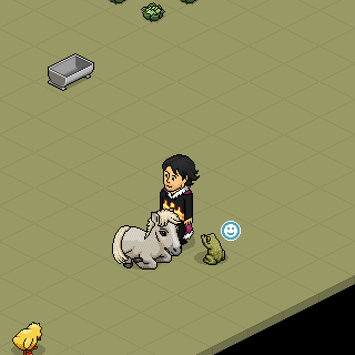 Photo by :d.gato.b: