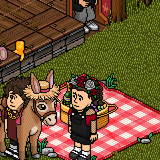 Photo by ,Estrelaa