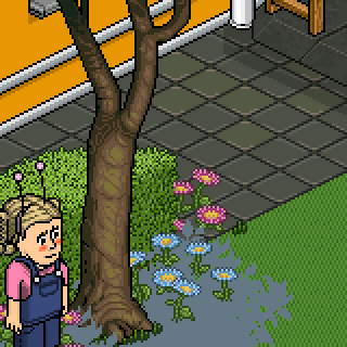 Photo by ,Estrelaa