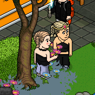 Photo by ,Estrelaa
