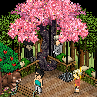 Photo by -New