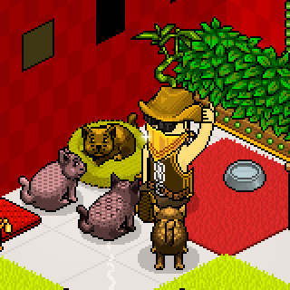 Photo by HABBO-PS3