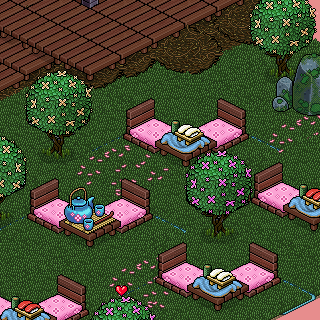 Photo by Tezh