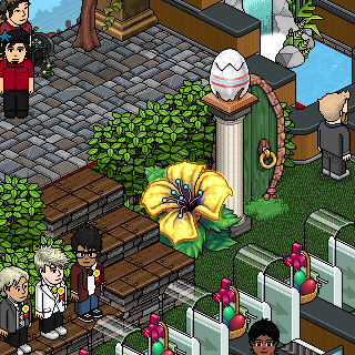 Photo by c?matinhoc?