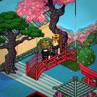 Photo by Perfect!