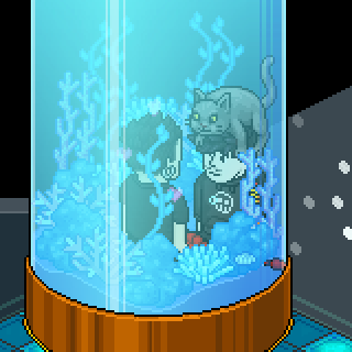 Photo by Habbo.gento