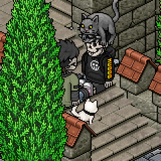 Photo by Habbo.gento