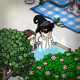 Photo by Lynus