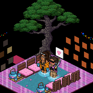 Photo by c4rolm