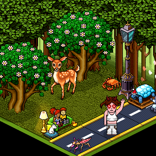 Photo by Dra.habboerika