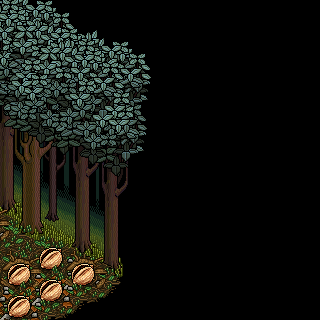 Photo by cianico