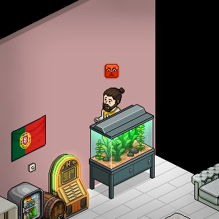 Photo by pedro.ulc.