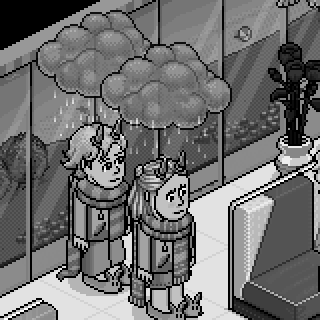 Photo by Humorizar