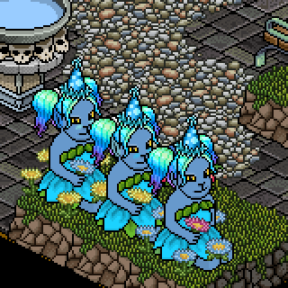 Photo by Surtadinha