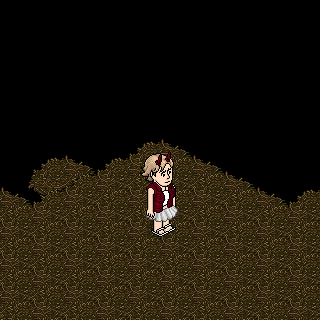 Photo by zi.