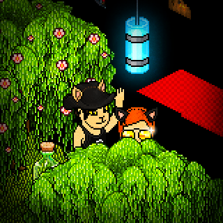 Photo by Artix-