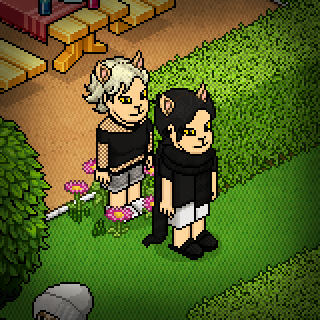 Photo by Artix-