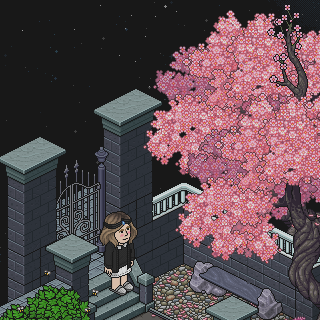 Photo by Du=Vien