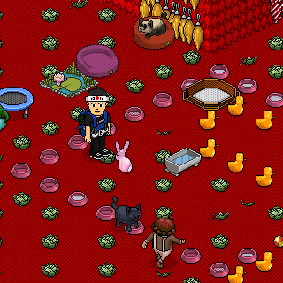 Photo by guilherm1760