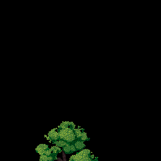 Photo by Fhopx
