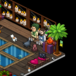 Photo by HaBBoAdO