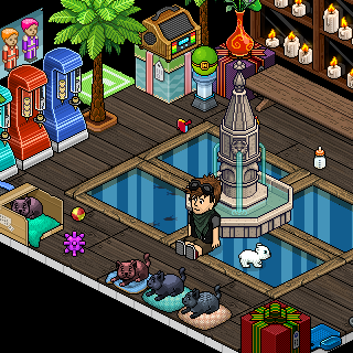 Photo by HaBBoAdO