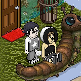 Photo by tokoF.T