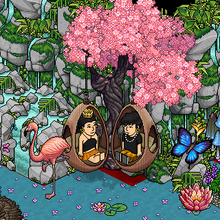 Photo by habbojoaod70