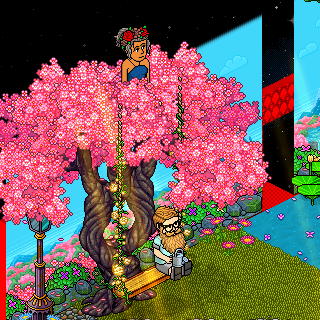 Photo by :Ivy