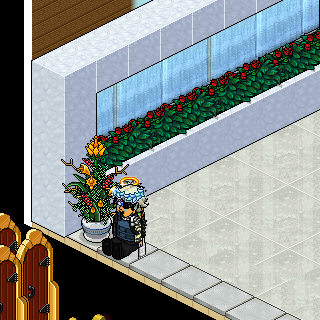 Photo by iagofreireLady