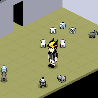 Photo by @b.Gabriiel.d@