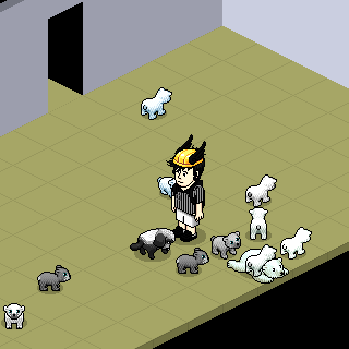 Photo by @b.Gabriiel.d@