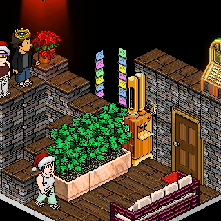 Photo by Nicoly-Sampaio2