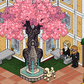 Photo by Kiezah
