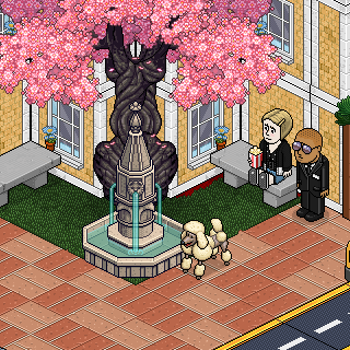 Photo by Kiezah