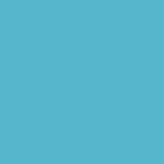 Photo by :FilliphSilvas