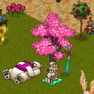 Photo by Diana!