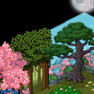 Photo by Amanda