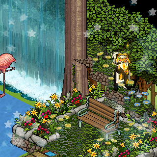 Photo by micibruna